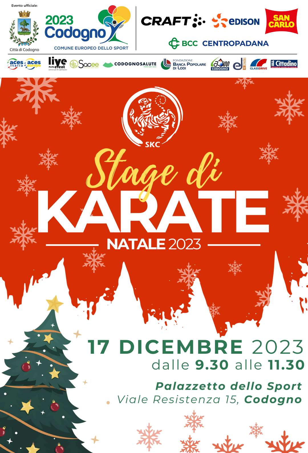 Stage_Karate_17dic