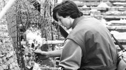 Banner_Dentro l'Heysel