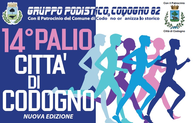 Banner 14 Palio citta di Codogno