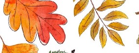 Banner_Aria di festa
