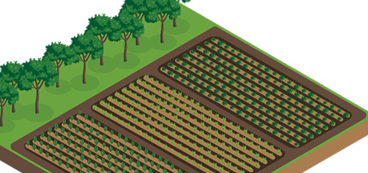 Banner_Variazioni colturali