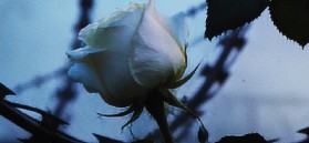 Banner_27 gennaio 2026