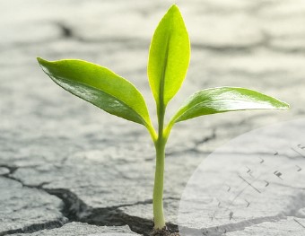 Banner_Germogli di luce note di speranza