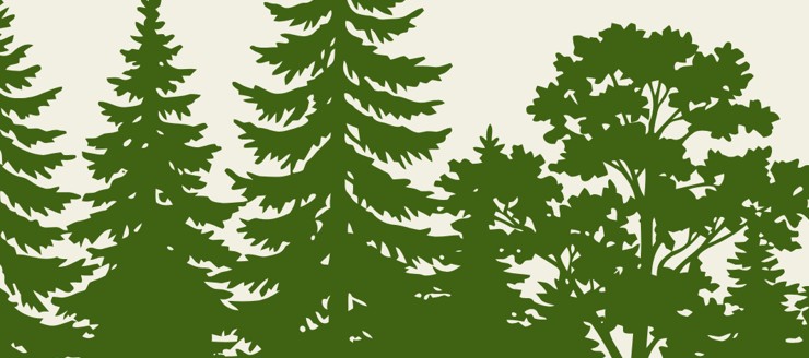 Banner Bestie di bosco - racconti per bambini