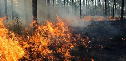 Banner_incendi boschivi